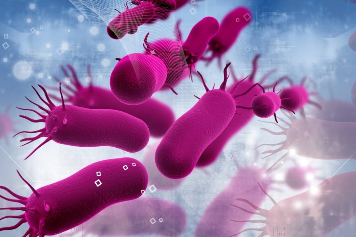 Bakterie - ich rodzaj oraz stężenie ma znaczenie dla naszego zdrowia. 